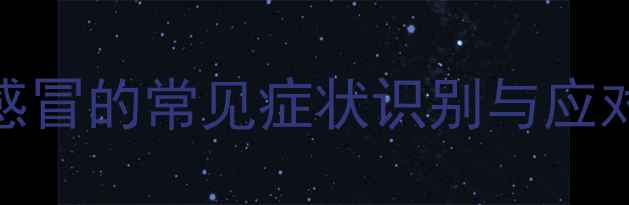 图片 狗狗感冒的常见症状识别与应对措施