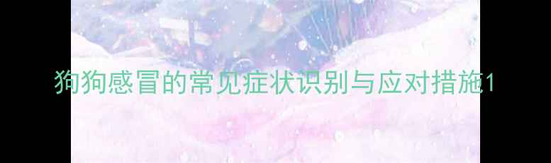 图片 狗狗感冒的常见症状识别与应对措施1