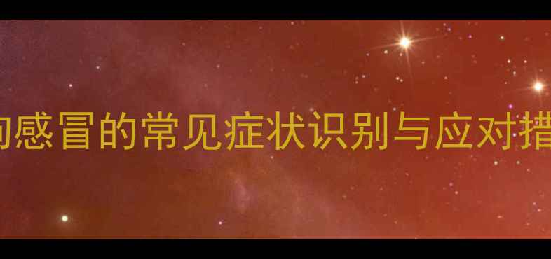 图片 狗狗感冒的常见症状识别与应对措施2