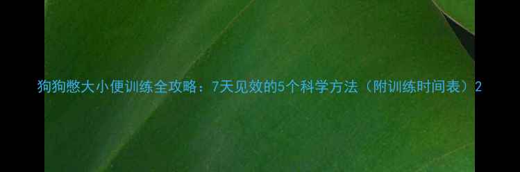 图片 狗狗憋大小便训练全攻略：7天见效的5个科学方法（附训练时间表）2