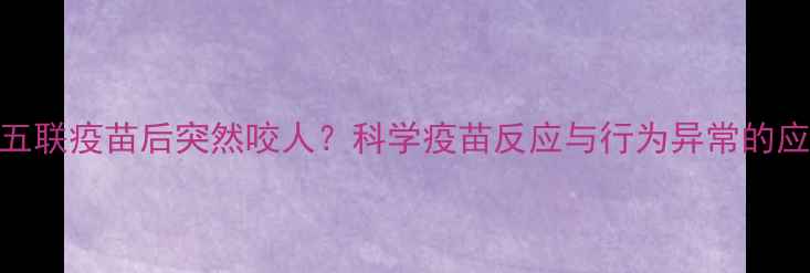 图片 狗狗打五联疫苗后突然咬人？科学疫苗反应与行为异常的应对指南