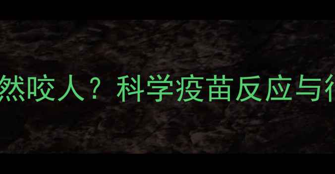图片 狗狗打五联疫苗后突然咬人？科学疫苗反应与行为异常的应对指南1