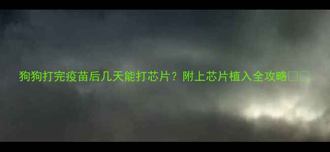 图片 狗狗打完疫苗后几天能打芯片？附上芯片植入全攻略🐾💉