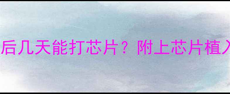 图片 狗狗打完疫苗后几天能打芯片？附上芯片植入全攻略🐾💉2