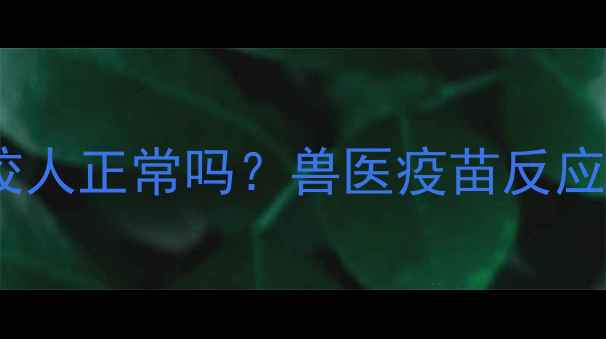 图片 狗狗打完疫苗后咬人正常吗？兽医疫苗反应与犬只行为关联2