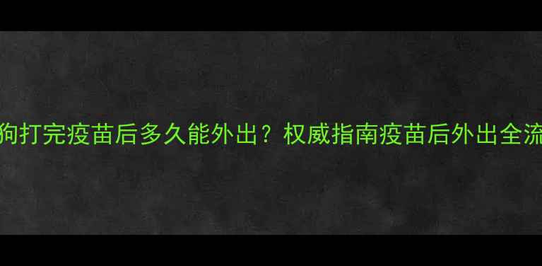 图片 狗狗打完疫苗后多久能外出？权威指南疫苗后外出全流程