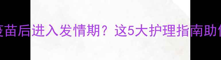 图片 狗狗打完疫苗后进入发情期？这5大护理指南助你科学应对