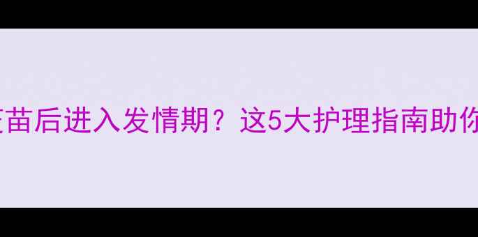 图片 狗狗打完疫苗后进入发情期？这5大护理指南助你科学应对1
