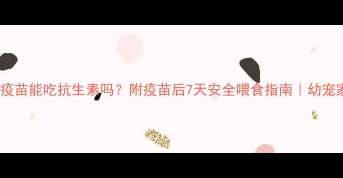 图片 狗狗打完疫苗能吃抗生素吗？附疫苗后7天安全喂食指南｜幼宠家长必看1