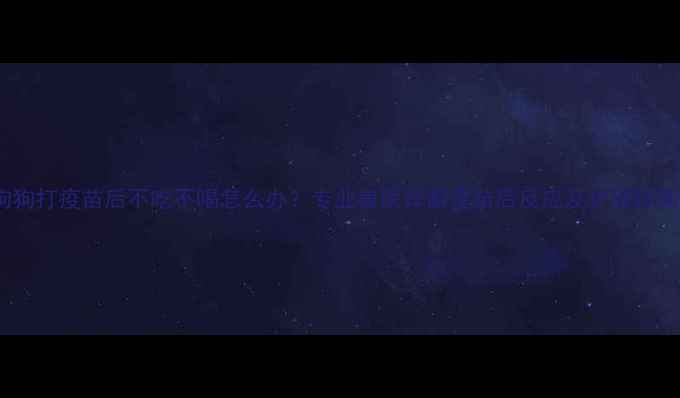 图片 狗狗打疫苗后不吃不喝怎么办？专业兽医详解疫苗后反应及护理指南2