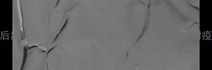 图片 狗狗打疫苗后出现这7种反应别慌！附正确应对指南（附疫苗时间表）