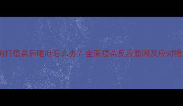 图片 狗狗打疫苗后呕吐怎么办？全面疫苗反应原因及应对措施1