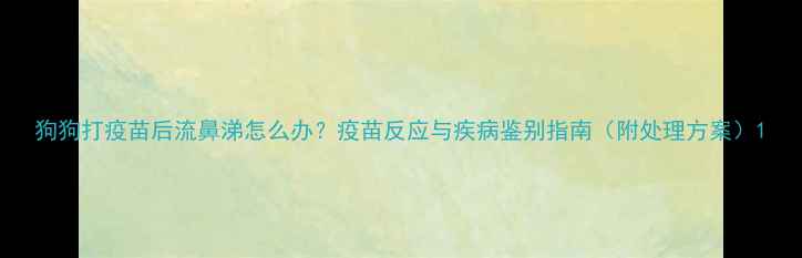 图片 狗狗打疫苗后流鼻涕怎么办？疫苗反应与疾病鉴别指南（附处理方案）1