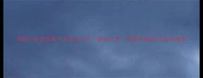 图片 狗狗打疫苗后鼻子发烫怎么办？鼻头红烫、呼吸异常的5大应对指南