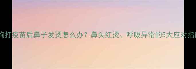 图片 狗狗打疫苗后鼻子发烫怎么办？鼻头红烫、呼吸异常的5大应对指南1