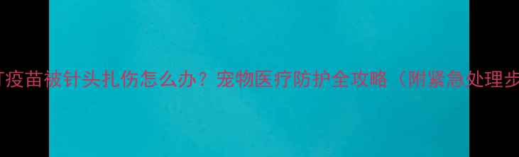 图片 狗狗打疫苗被针头扎伤怎么办？宠物医疗防护全攻略（附紧急处理步骤）2