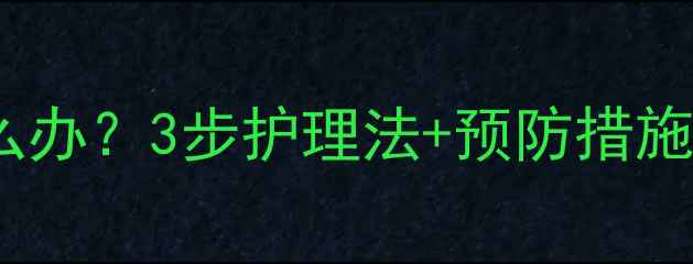 图片 狗狗打针后起红肿包怎么办？3步护理法+预防措施全攻略（附兽医建议）1