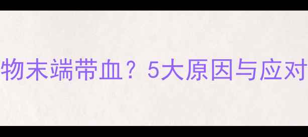 图片 狗狗排泄物末端带血？5大原因与应对措施全！