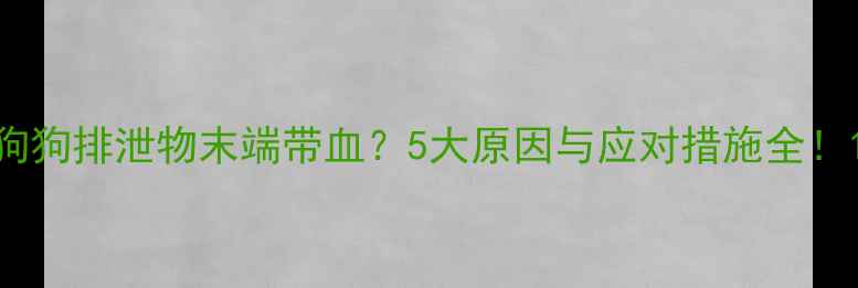 图片 狗狗排泄物末端带血？5大原因与应对措施全！1