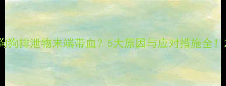 图片 狗狗排泄物末端带血？5大原因与应对措施全！2