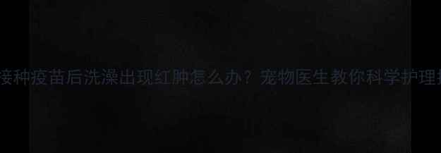 图片 狗狗接种疫苗后洗澡出现红肿怎么办？宠物医生教你科学护理指南1