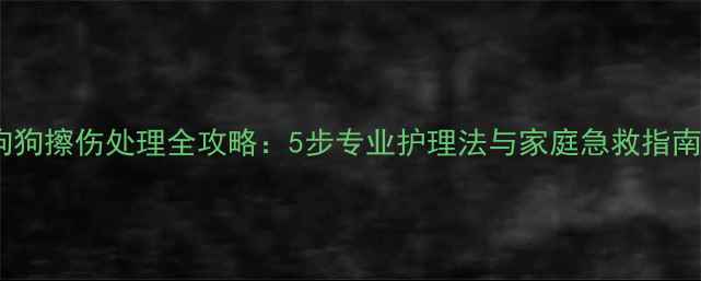 图片 狗狗擦伤处理全攻略：5步专业护理法与家庭急救指南2