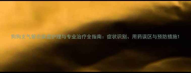 图片 狗狗支气管炎家庭护理与专业治疗全指南：症状识别、用药误区与预防措施1