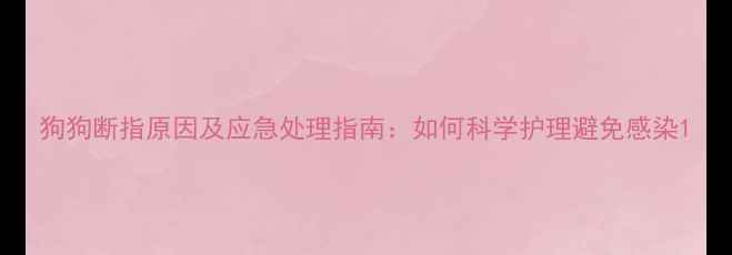 图片 狗狗断指原因及应急处理指南：如何科学护理避免感染1