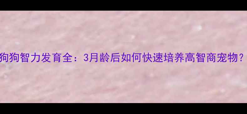 图片 狗狗智力发育全：3月龄后如何快速培养高智商宠物？