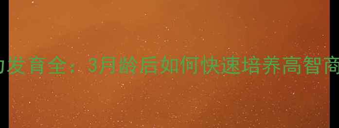图片 狗狗智力发育全：3月龄后如何快速培养高智商宠物？2