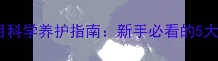 图片 狗狗未满月科学养护指南：新手必看的5大关键要点1