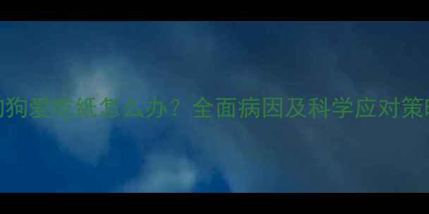 图片 狗狗爱吃纸怎么办？全面病因及科学应对策略