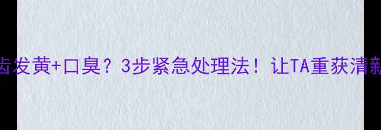 图片 狗狗牙齿发黄+口臭？3步紧急处理法！让TA重获清新口气🐾