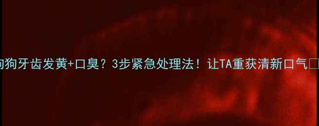 图片 狗狗牙齿发黄+口臭？3步紧急处理法！让TA重获清新口气🐾1
