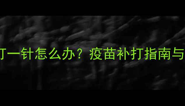 图片 狗狗疫苗只打一针怎么办？疫苗补打指南与注意事项全1