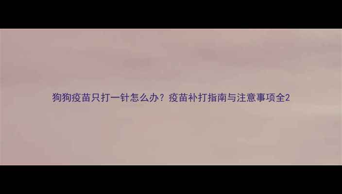 图片 狗狗疫苗只打一针怎么办？疫苗补打指南与注意事项全2