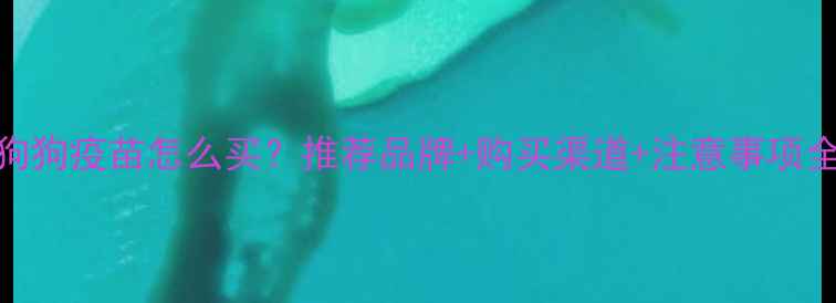 图片 狗狗疫苗怎么买？推荐品牌+购买渠道+注意事项全