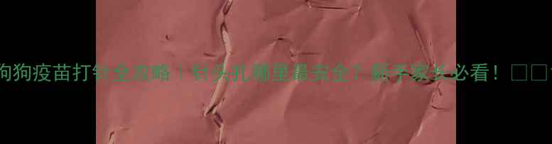图片 狗狗疫苗打针全攻略｜针头扎哪里最安全？新手家长必看！🐾💉1
