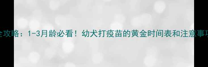图片 狗狗疫苗接种全攻略：1-3月龄必看！幼犬打疫苗的黄金时间表和注意事项（附流程图）