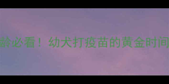 图片 狗狗疫苗接种全攻略：1-3月龄必看！幼犬打疫苗的黄金时间表和注意事项（附流程图）1