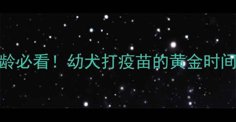 图片 狗狗疫苗接种全攻略：1-3月龄必看！幼犬打疫苗的黄金时间表和注意事项（附流程图）2