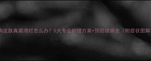 图片 狗狗皮肤真菌溃烂怎么办？5大专业护理方案+预防措施全（附症状图解）1