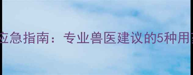 图片 狗狗眼睛受伤家庭应急指南：专业兽医建议的5种用药方法及常见误区1