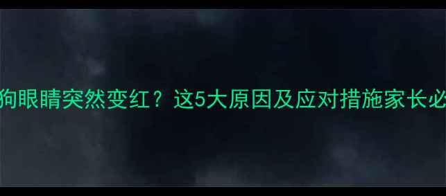 图片 狗狗眼睛突然变红？这5大原因及应对措施家长必看
