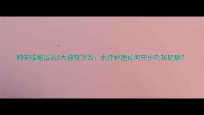 图片 狗狗碳酸浴的5大神奇功效：水疗护理如何守护毛孩健康？