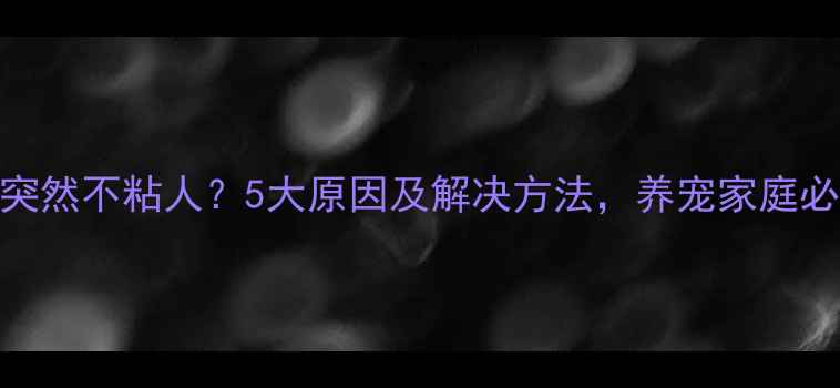 图片 狗狗突然不粘人？5大原因及解决方法，养宠家庭必看！