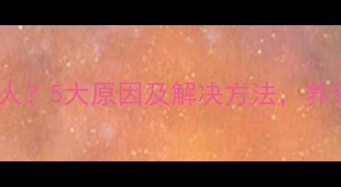 图片 狗狗突然不粘人？5大原因及解决方法，养宠家庭必看！1