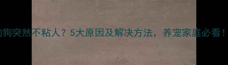 图片 狗狗突然不粘人？5大原因及解决方法，养宠家庭必看！2