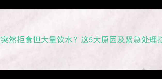 图片 狗狗突然拒食但大量饮水？这5大原因及紧急处理指南1