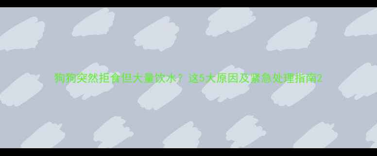 图片 狗狗突然拒食但大量饮水？这5大原因及紧急处理指南2